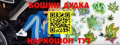 амф Кимры