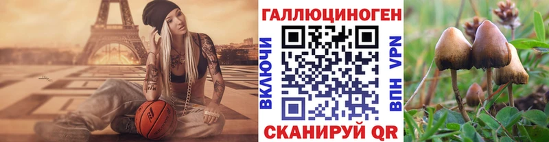 где купить наркоту  Краснодар  Галлюциногенные грибы ЛСД 