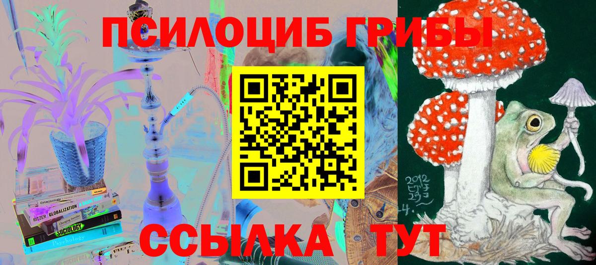 Галлюциногенные грибы GOLDEN TEACHER  Краснодар 